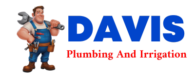 Trusted plumber in CROWHEART